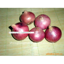 chinese new red onions 3-5 cm